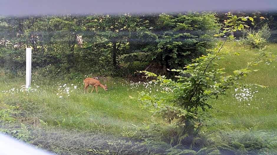 Panorama Hotel Pension Frohnau