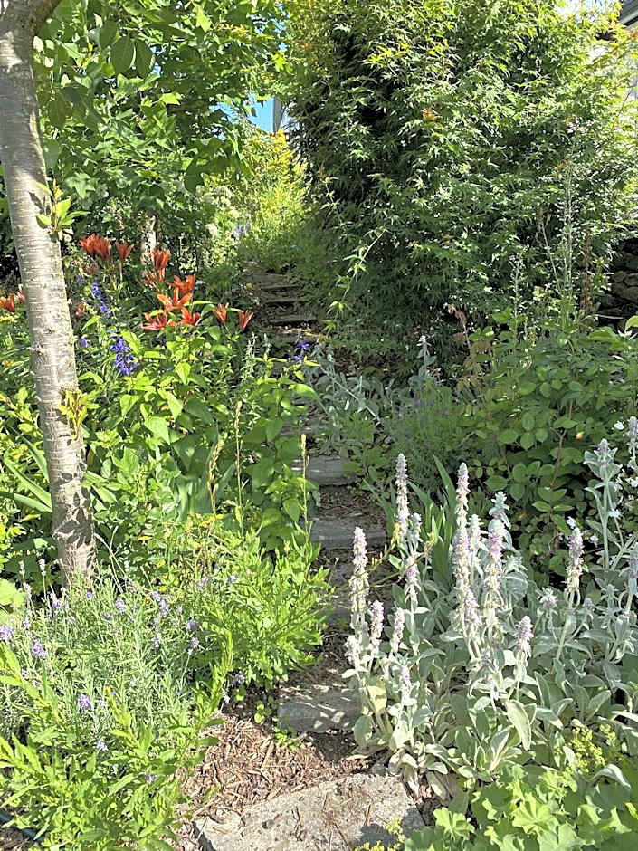 Treghan Luxury Lodge