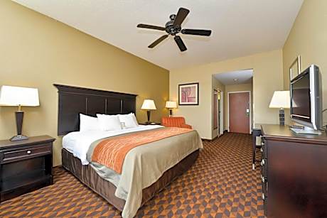 1 King Bed, Nonsmoking