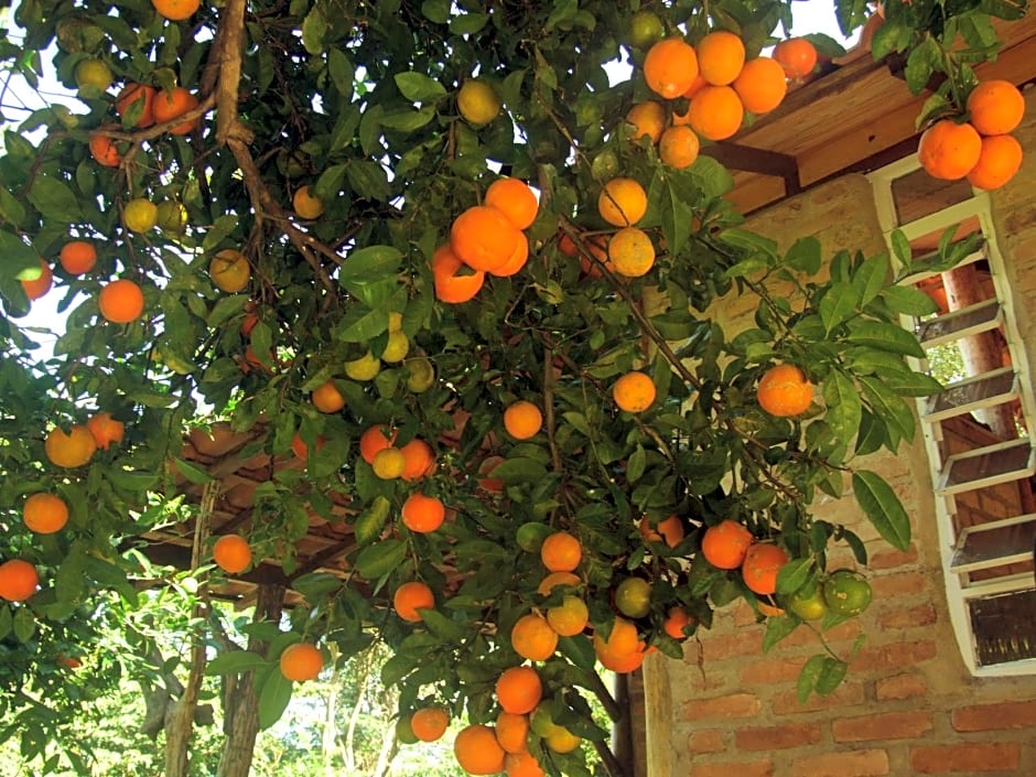 Pousada Serra da Matinha - vegetariana