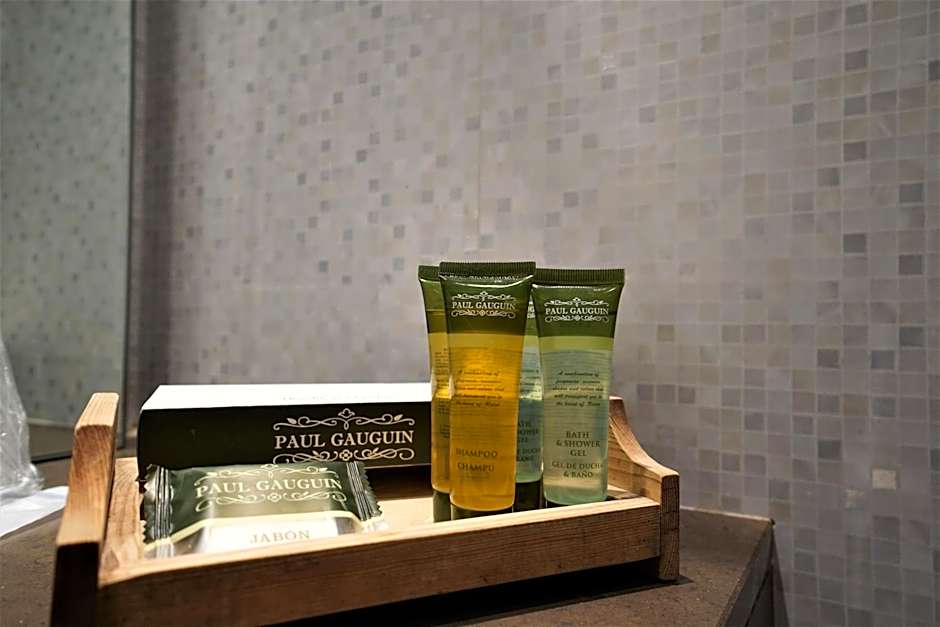 Hotel & Spa Xalet Bringue