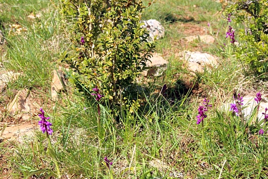 Les chambres de la Dourbie