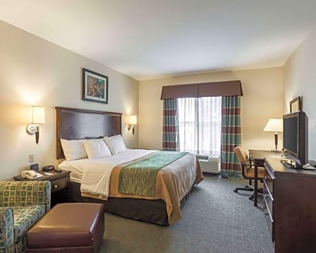 1 King Bed, Nonsmoking