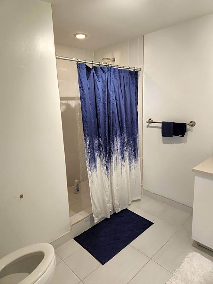 Wonderful 1 bedroom condo in Midtown.