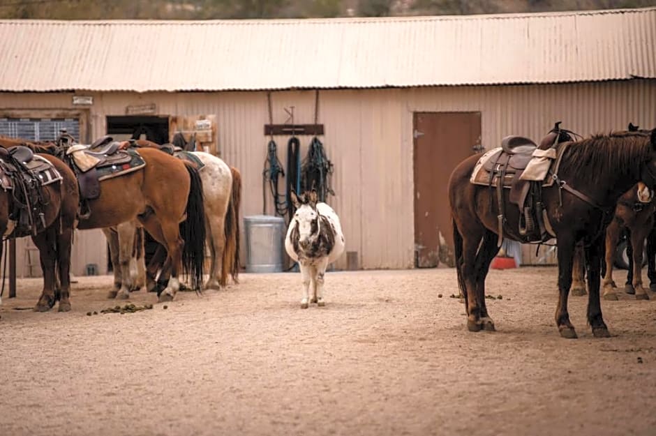 Kay El Bar Guest Ranch