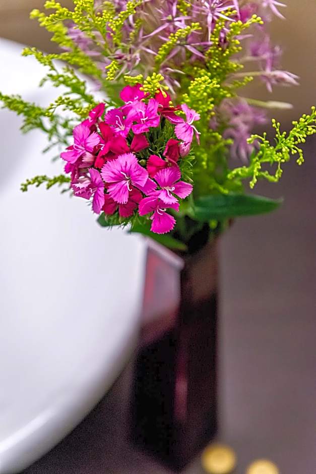 Casino & Hotel ADMIRAL Ptuj