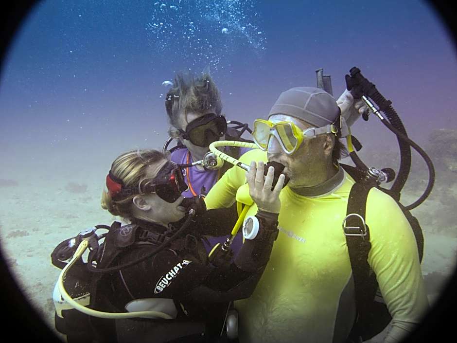 Gecko Nature Lodge Home of Swahili Divers the BEST dive center and Famous Gecko Restaurant