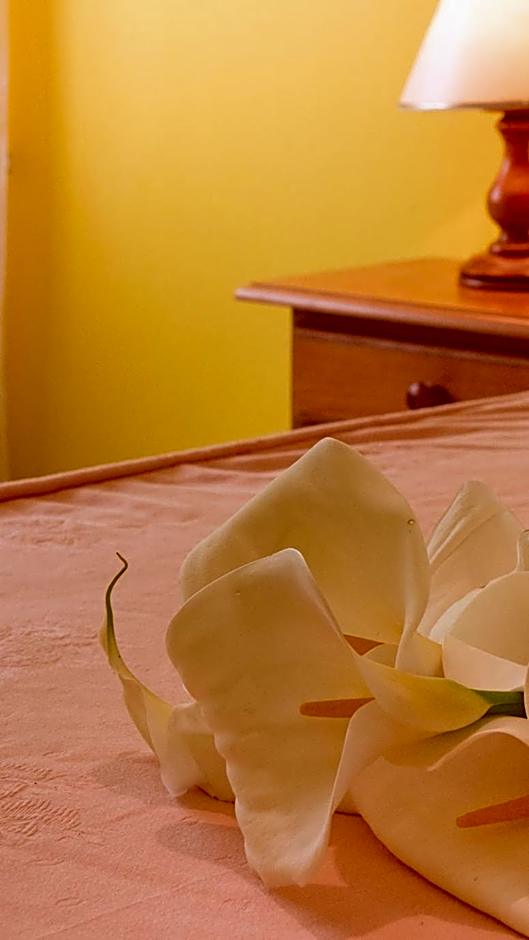 Alojamiento Calzada Romana