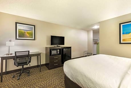 King Room with Walk-In Shower - Mobility Accessible/Non-Smoking