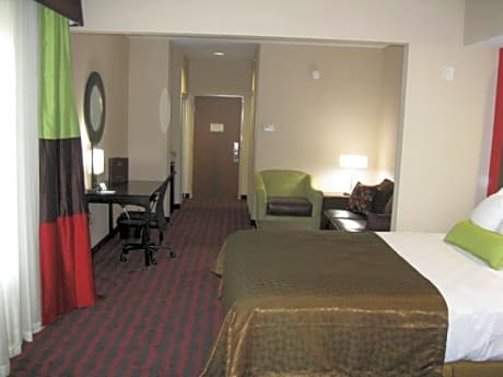 Suite-1 King Bed, Mobility Accessible, Communication Assistance, Bathtub, Sofabed, Non-Smoking, Full