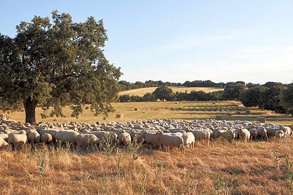 Hotel Caserio Aldeallana