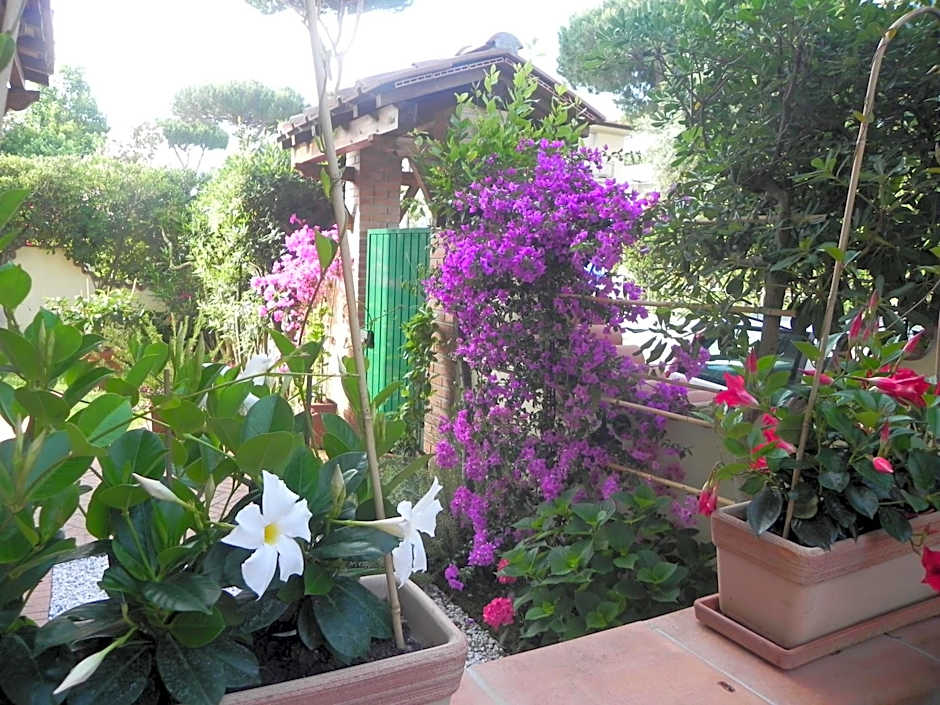 Villa Il Fortino