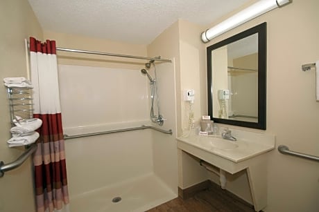 ADA Accessible Deluxe King with Roll-in Shower Non-Smoking