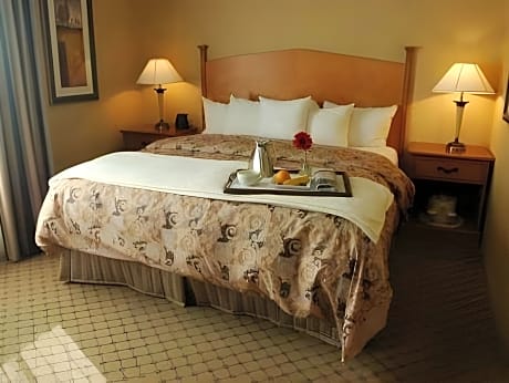 One-Bedroom King Suite - Non-Smoking