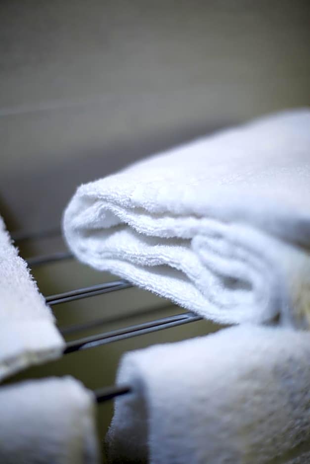 Alma Living Hotel- Al Girarrosto