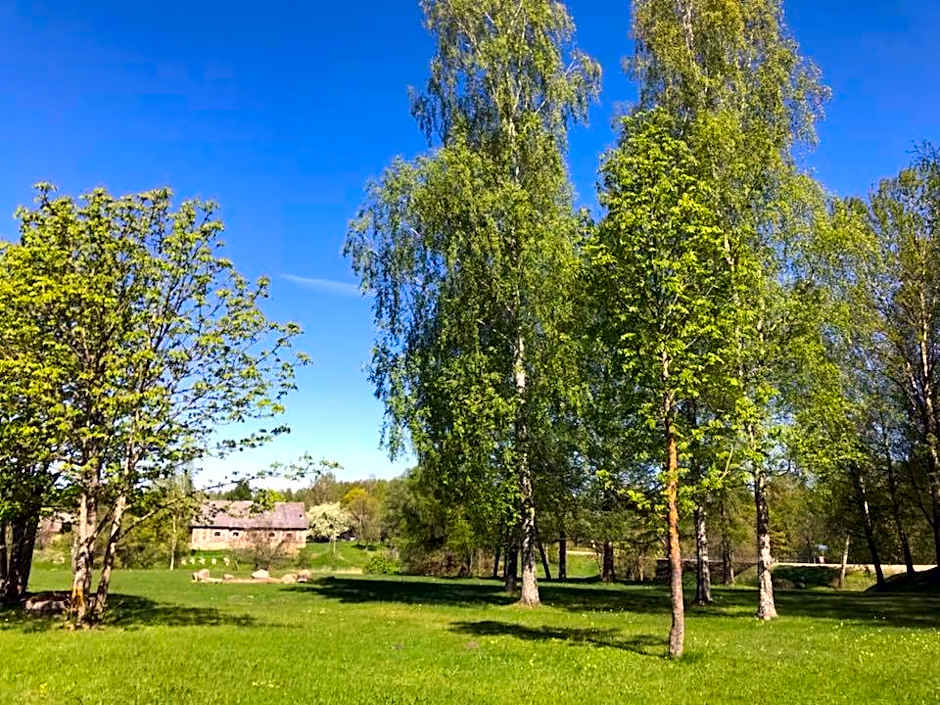 Naktsmītne Elkšņi