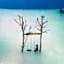 Luz de Luna Tulum Suite III