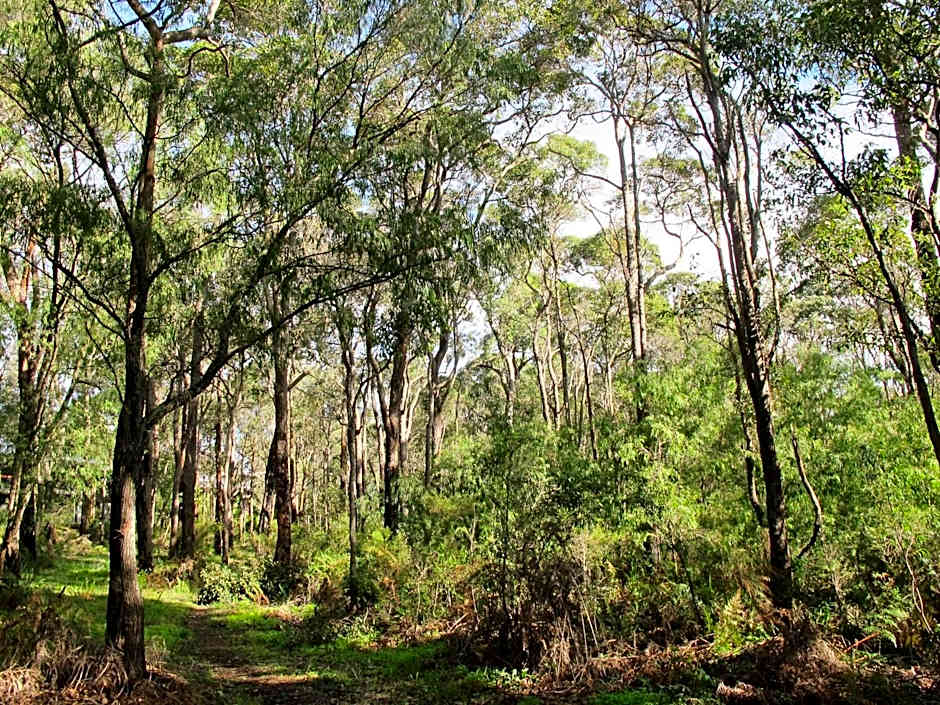 Margarets In Town Apartments