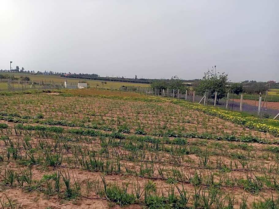 Ferme de Rêve, logement Entier à Louer