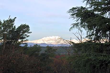 Deluxe Double or Twin Room with Mountain View