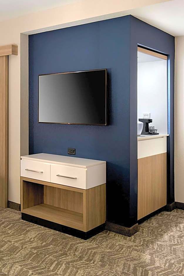 SpringHill Suites by Marriott Tampa Suncoast Parkway