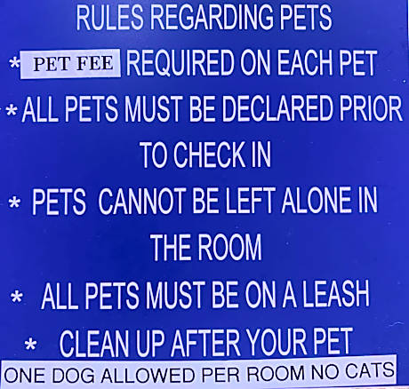 Standard Queen Bed - Non-Smoking