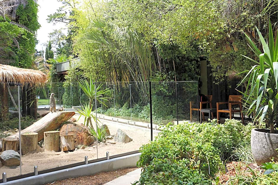 Jamala Wildlife Lodge