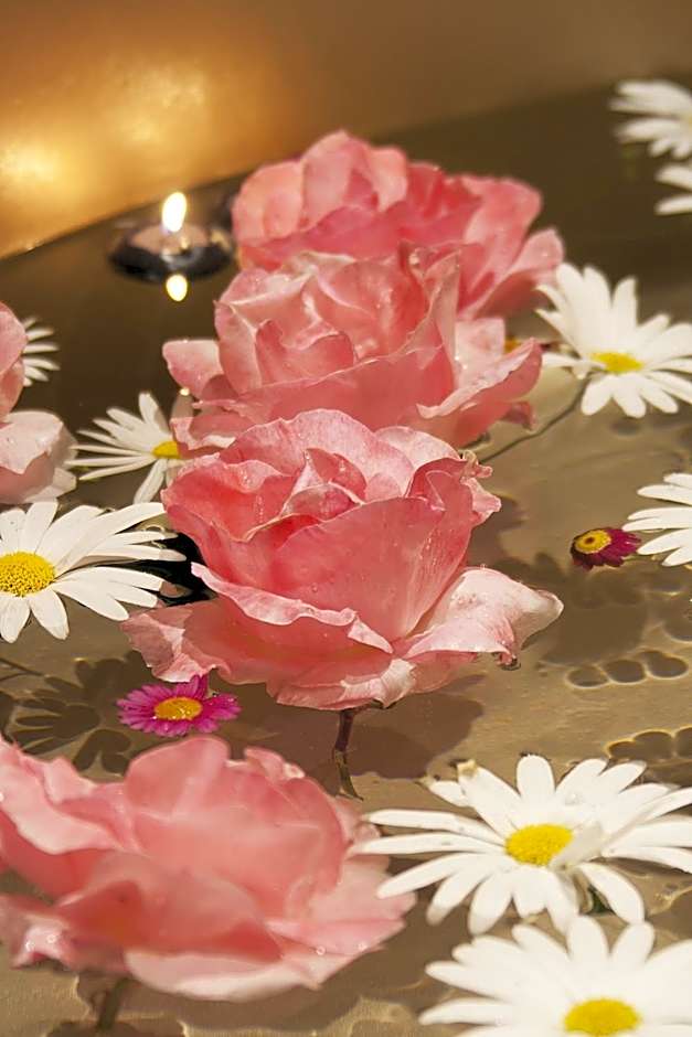 Absoluto Design Hotel