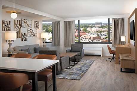 Suite, 1 King