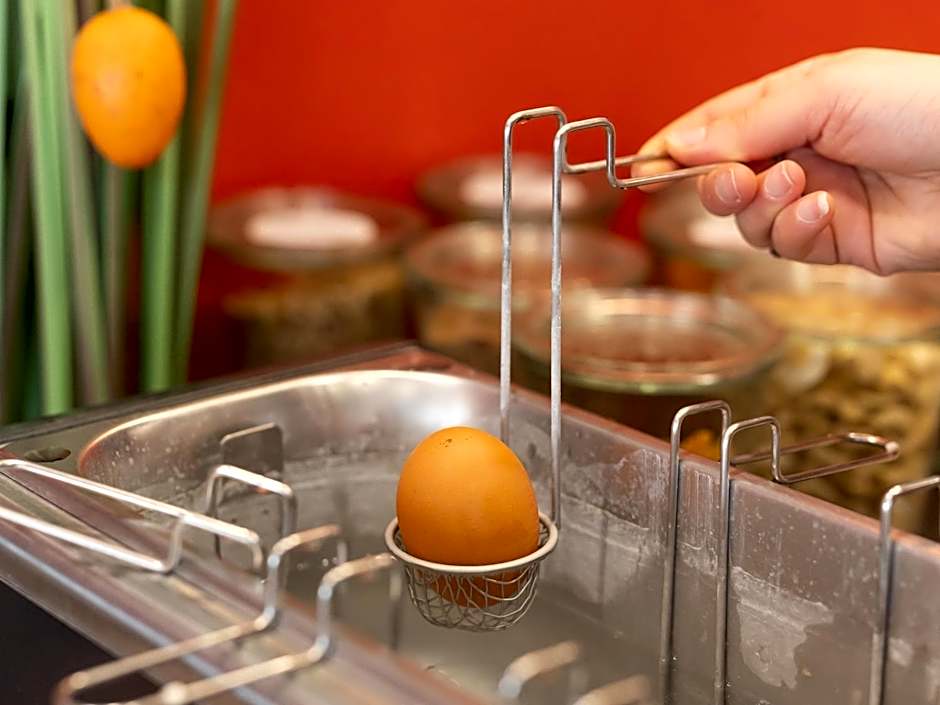 ibis Le Puy-en-Velay Centre