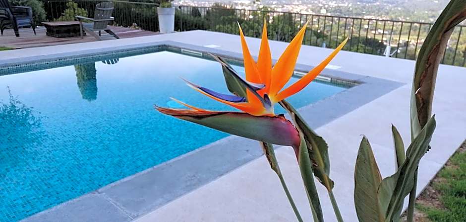 Les lodges de l'oliveraie de Virevent