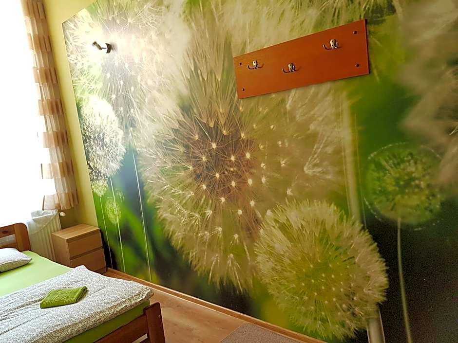 Dream Hostel & Apartments
