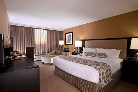 1 King Bed Standard Comm Accessible