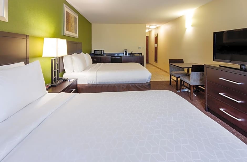 Holiday Inn Express and Suites Rochester West-Medical Center by IHG
