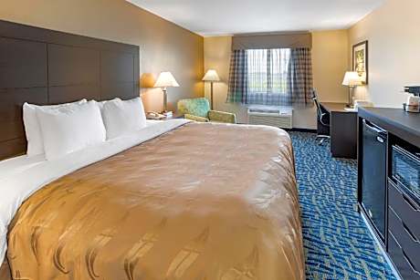 1 King Bed, Suite, Nonsmoking