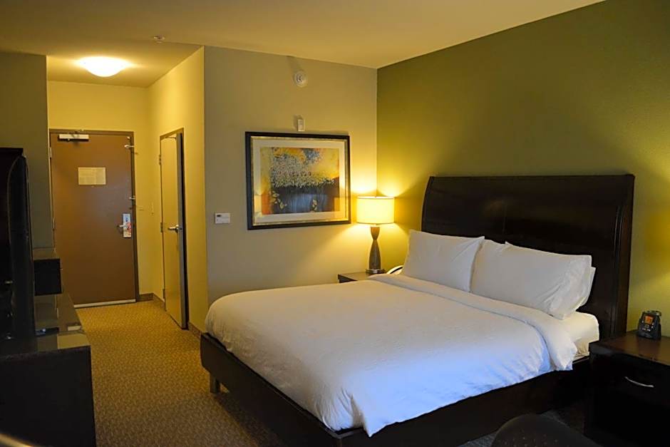 Hilton Garden Inn Houston/Pearland