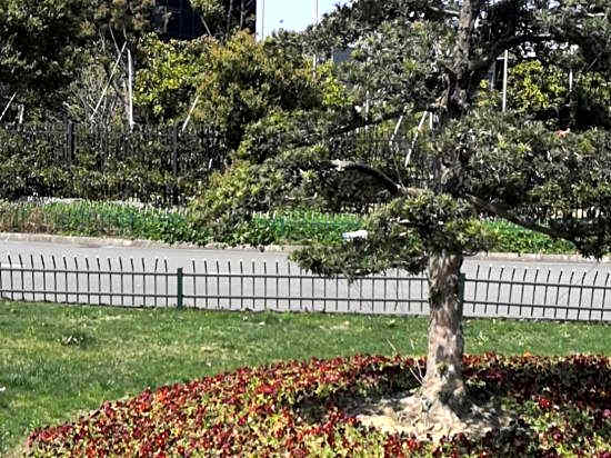 Park Yu Hotel (Ningbo University Qingshuipu Metro Station)