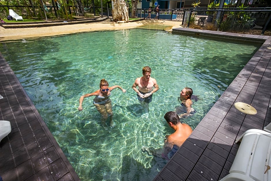 Koala Park by Bounce