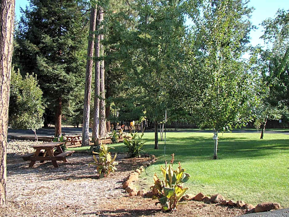 Ponderosa Gardens Motel