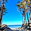 Seaside Harmony