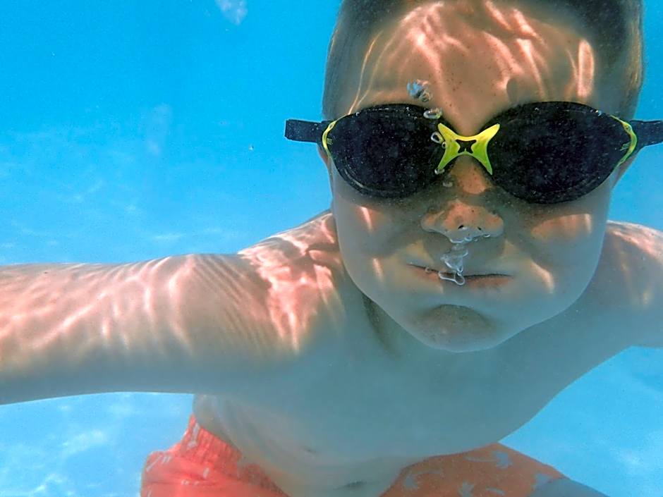 Hollytree Hotel and Swimming pool