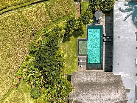Four-Bedroom Luxury Pool Villa Paddy View