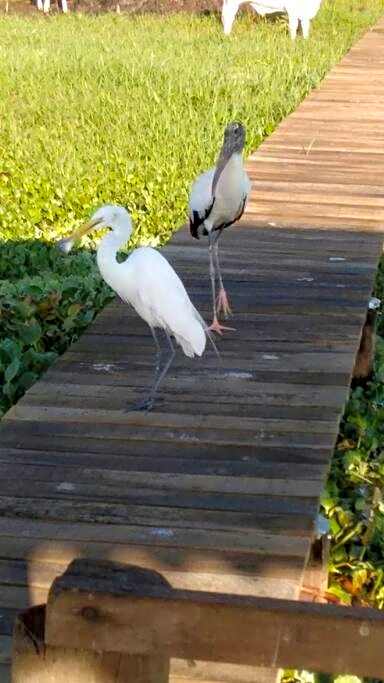 Rancho Rio Dourado, um paraíso!