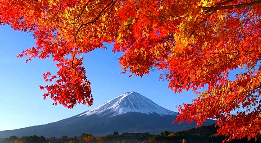 Kamenoi Hotel Fuji