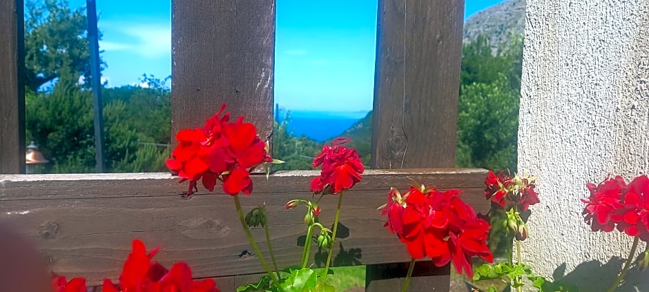 B&B da Maria Teresa - Maratea