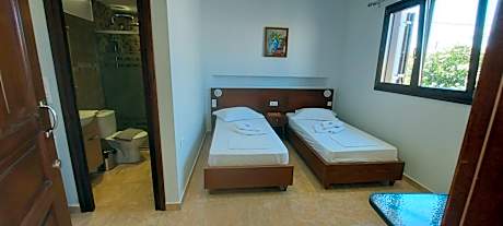 Deluxe Double or Twin Room with City View