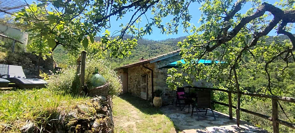 CASA LUCERTOLA