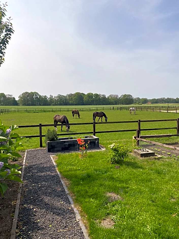 Erve Het Roolvink Boerderij Appartementen 40-50 M2