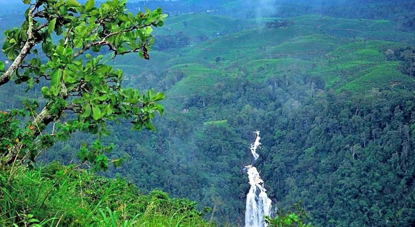 Grassroots Wayanad, Valley-view Tents