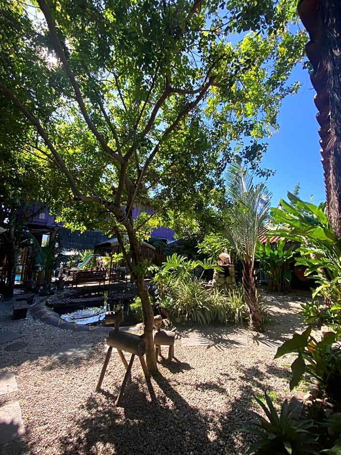 Pousada Papaya Container